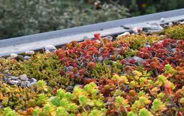 the cost of Compton Pauncefoot green roof installation