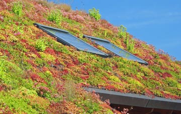 Compton Pauncefoot living roof systems