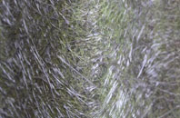 Compton Pauncefoot fibreglass roof work